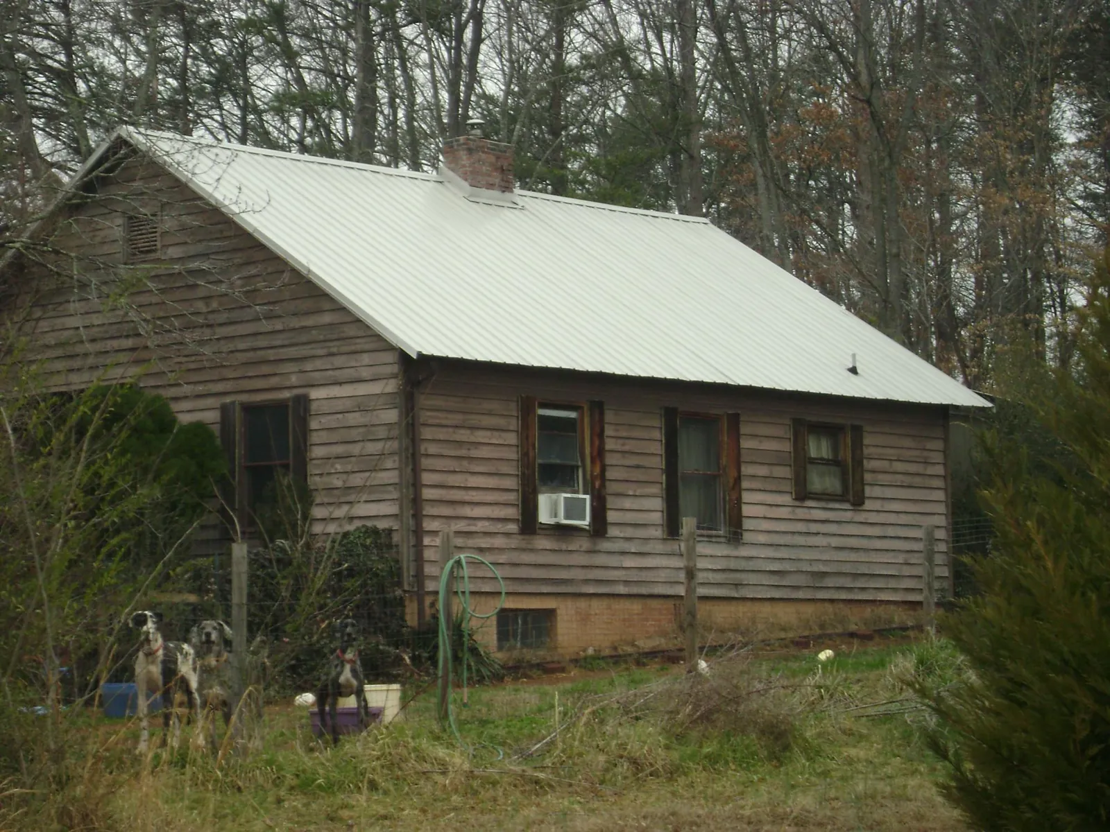 White metal roof on an old wood sided farmhouse, from a Asphalt Shingle Roof Repair job in Clarkdale